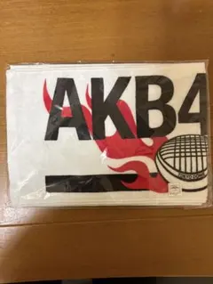 AKB48 マフラータオル - メルカリ