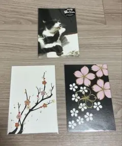 梅　桜　ネコ　猫　ポストカード　3枚セット