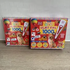 はじめてずかん 1000 図鑑＋お箱