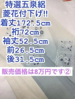 2026年最新】身丈(肩山から)：170〜174cm レディース着物 訪問着・付け