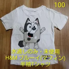 H&M ブルーイ 半袖Tシャツ 100cm 綿100%