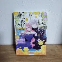 拝啓見知らぬ旦那様、離婚していただきます 　Ⅳ　4巻