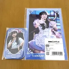LOVE DMMスクラッチ B賞 山本杏奈 アクリルスタンド - メルカリ