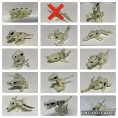 ほねほねザウルス　14体まとめ売り
