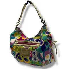 COACH Poppy Graffiti Y2K Hobo Bag