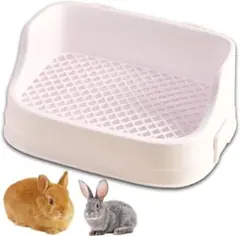 Item thumbnail for item 60d6f991-017b-43fd-b714-f5a101454fc4