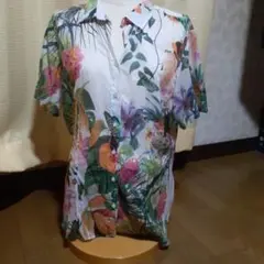 Item thumbnail for item 7c6c4423-1bb1-497a-80ca-cd8df0de40ab