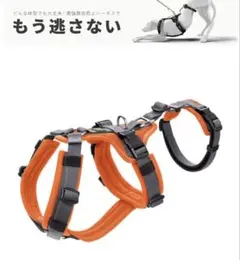 脱走防止ハーネス　HUNTER ハンター　マルドン　xsサイズ　試着のみ美品のサムネイル
