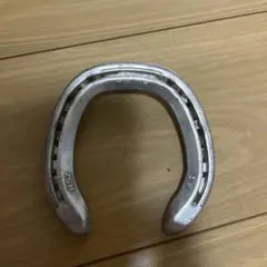 蹄鉄 大阪杯勝利馬