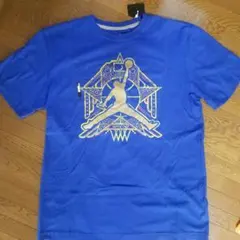 新品 希少 NIKE ナイキ ジョーダン Tシャツ Lサイズ