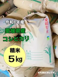 令和8年度 愛媛県産 新米 コシヒカリ 5㎏