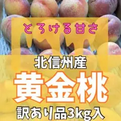 和歌山県産 完熟南高梅‼️L〜M混合‼️3kg みかんキング 家庭用 - メルカリ