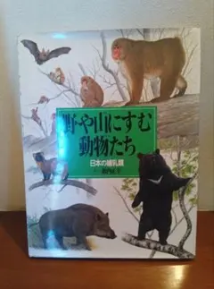 Item thumbnail for item 79f530ab-bca6-41a3-a9fd-31f0acc69b51