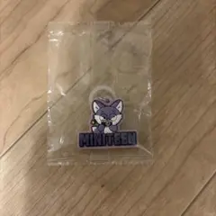 miniteenめじるしチャーム　ウォヌ