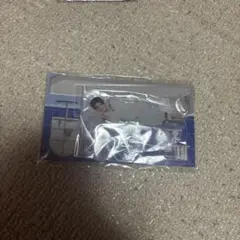 SnowMan ラウール アクスタ RAYS