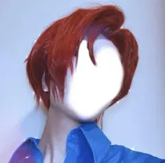 カリスマ　天堂天彦　コスプレ　ウィッグ