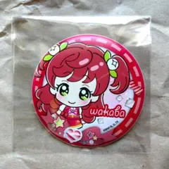 開封済】アイカツ！ 姫石らき＆春風わかば アニON マグネット付き