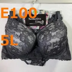 【E100/5L】ブラ・ショーツセット★2点以上で各200円引★50307082