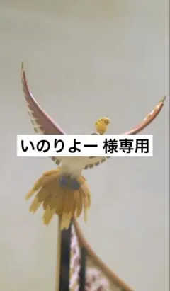 いのりよー様 リクエスト 6点 まとめ商品