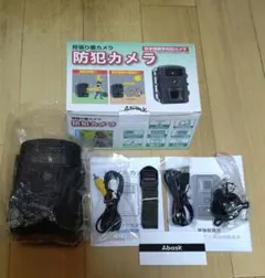 Item thumbnail for item 1f31d636-9fa5-4162-a700-d91663df551a