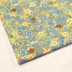 Item thumbnail for item 6f366c6d-51e4-4923-a62d-f302bf93de88