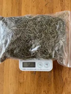 Item thumbnail for item d7b908e1-5a4d-4d05-9ff2-db73471f35d3