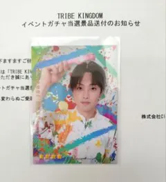 2026年最新】トラキン リアルカード fantasticsの人気アイテム - メルカリ