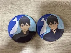 ハイキュー‼︎ アクアリウムキャラバン　グッズ　特典　影山飛雄　缶バッジ