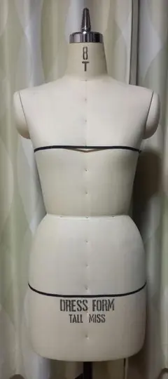 2025年最新】アミコトルソーの人気アイテム - メルカリ