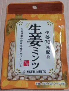生姜ミンツ GINGER MINTS 生姜70%配合（10袋）のサムネイル