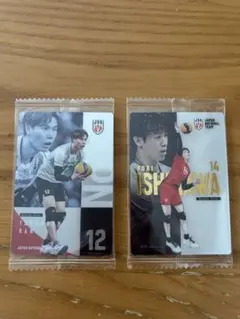 バレーボール日本代表⭐︎高橋藍&石川祐希⭐︎ウエハース 2026⭐︎ハイキューイラスト
