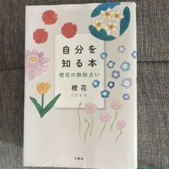 Item thumbnail for item 1a2846ac-8e96-40c0-8a9f-2f871c18686e