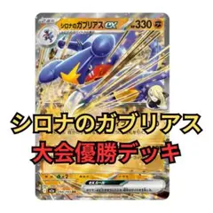 ▽214　大会優勝構築　シロナのガブリアス
