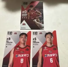 岩手ビッグブルズ　選手カードセット