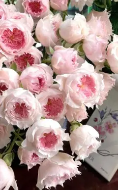 2026年最新】バラ苗 切花の人気アイテム - メルカリ