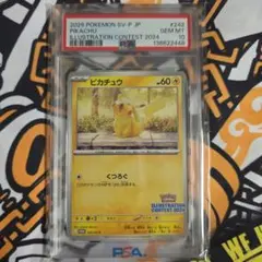 y*i様 ピカチュウ：イラストレーションコンテスト 2024 PROMO SV-