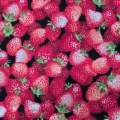 リアルいちご柄　オックス生地　約114×75センチ＋α