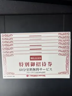 2026年最新】ビックエコーの人気アイテム - メルカリ