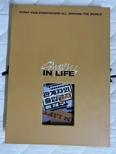 Strayk Kids IN生 黄 アルバム ハン スンミン アイエン トレカ