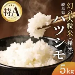 ふんわりやさしいお米✨岐阜県産 ハツシモ 無洗米 白米 5キロ 穂乃和のサムネイル