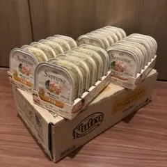 Item thumbnail for item b5683853-068e-47b3-aa33-e11ad5f3a14f