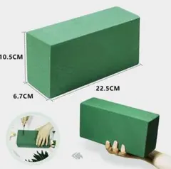 플로럴 폼, 그린, 6개 팩