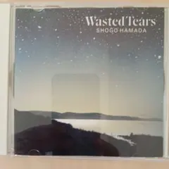 希少] [美品]浜田省吾 カセットテープ WASTED TEARS 歌詞カード - メルカリ