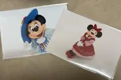 ミニーマウス　写真　バラ2枚