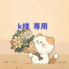 k様　専用(1/27迄)