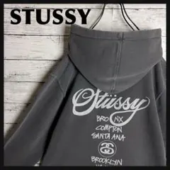 STUSSY◇ワールドツアー バックロゴ パーカー D565のサムネイル