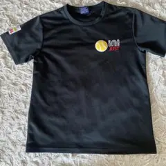 Item thumbnail for item 5856264a-069b-4702-8070-17d6ace2dd41