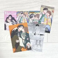 【まとめ売り】ホワイトライアー ／ 芹澤知 先生