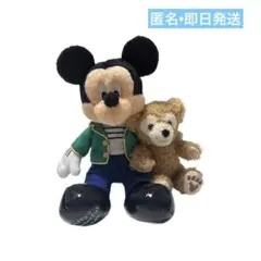 美品　TDS限定　ワンダフルヴォヤッジ　ミッキー＆ダッフィー　ぬいぐるみ 即日