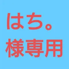 ★(はち。様専用！)おまとめ購入5点！